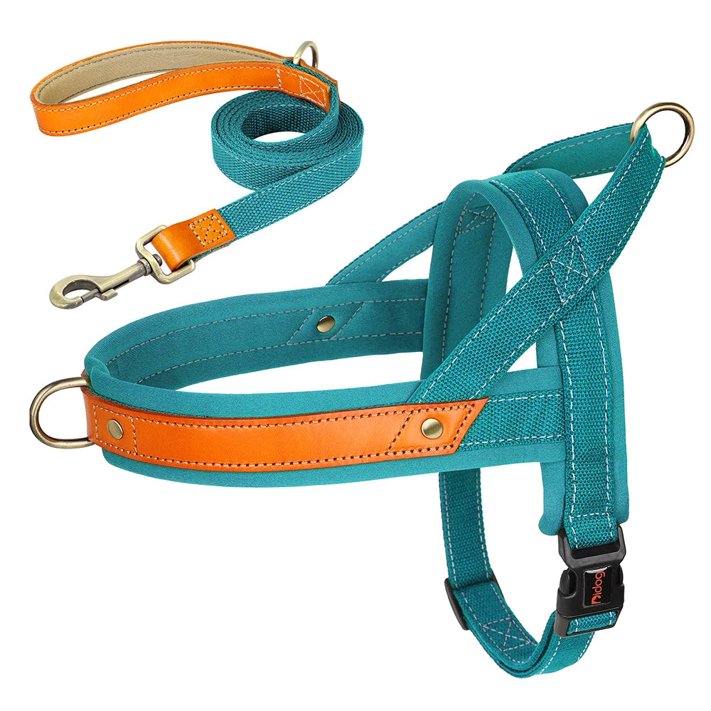 No-Pull Hunde-Geschirr Set aus Nylon & PU-Leder – Gepolstertes Harness mit Halsband & Leine für kleine, mittlere & große Hunde