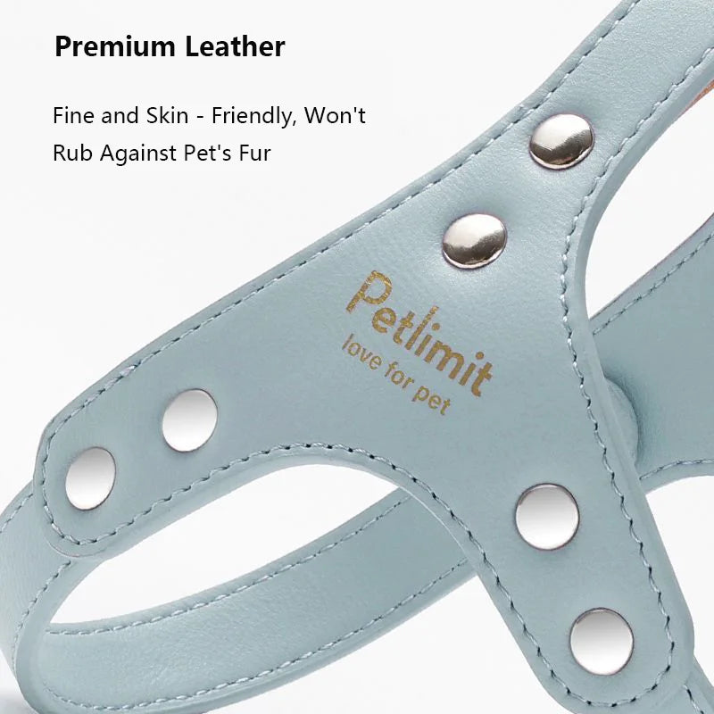 Premium Leder Hunde-Geschirr & Leinen Set – Robustes Hundegeschirr mit verstärkten Nieten für kleine Hunde & Welpen