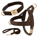 Personalisiertes Leder Hunde-Set mit Geschirr & Leine – Gepolstertes Mesh-Vest Harness mit kostenloser Namensgravur für kleine, mittlere & große Hunde