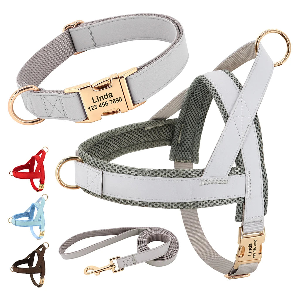 Personalisiertes Leder Hunde-Set mit Geschirr & Leine – Gepolstertes Mesh-Vest Harness mit kostenloser Namensgravur für kleine, mittlere & große Hunde