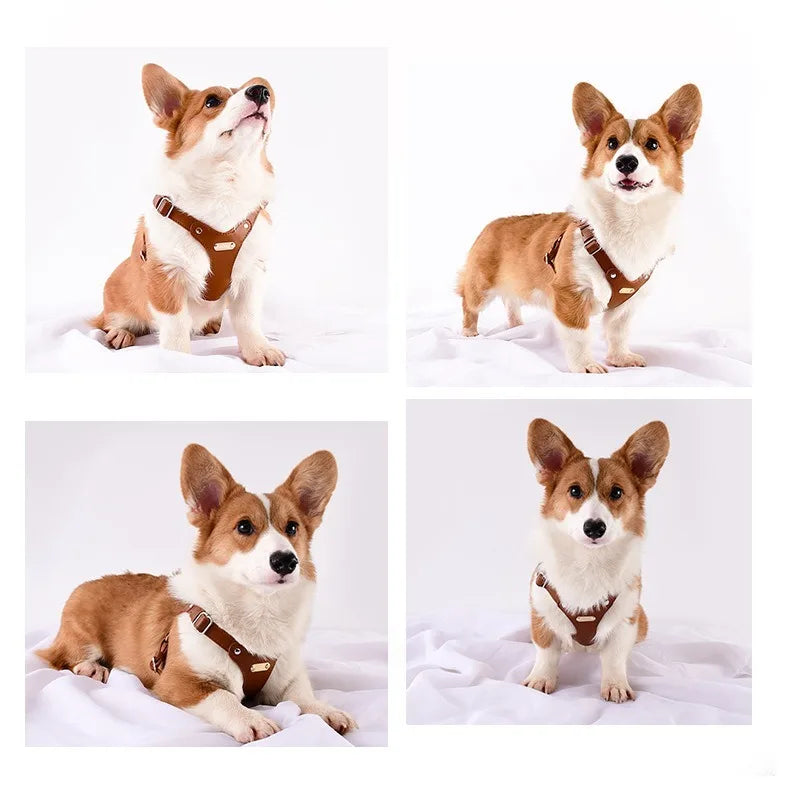 Weiches Leder Hundegeschirr mit Leine – Verstellbares, gepolstertes Brustgeschirr-Set für kleine &amp; mittelgroße Hunde 