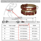 Personalisiertes Leder Hunde-Halsband mit Gravur – Weich gepolstert & verstellbar, inkl. kostenloser Namensplakette für kleine, mittlere & große Hunde