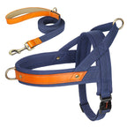 No-Pull Hunde-Geschirr Set aus Nylon & PU-Leder – Gepolstertes Harness mit Halsband & Leine für kleine, mittlere & große Hunde