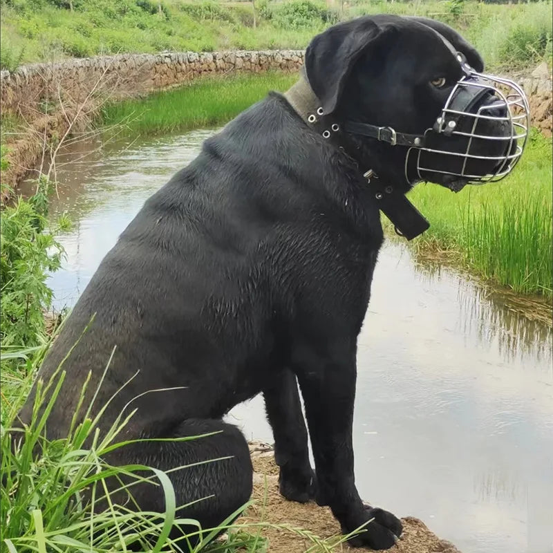 Verstellbarer Drahtkorb-Hunde­maulkorb für große & sehr große Hunde – Robuster, atmungsaktiver Trainings-Maulkorb mit Leder-Riemen