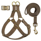 Cuir PU personnalisé pour chien avec chien – Graviertes ID-Schnallen-Geschirr et Vest-Set pour petits et petits chiens