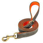 Customized Leder-Hundehalsband & Leinen-Set – Weiches, Gepolstertes Leder für Kleine, Mittelgroße und Große Hunde mit Kostenloser Gravur