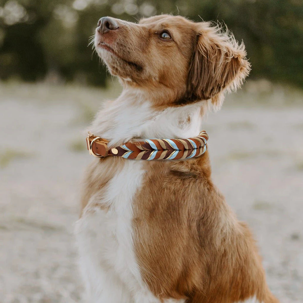 Braunes Hunde-Halsband aus Rindsleder – Geflochtenes Premium-Halsband mit himmelblauem Muster für kleine, mittlere &amp; große Hunde