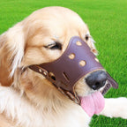 Ceinture en cuir blanc pour chiens de grande et moyenne taille – Verstellbarer Anti-Bellen, Beißen &amp; Kauen Maulschutz für Training &amp; Alltag 