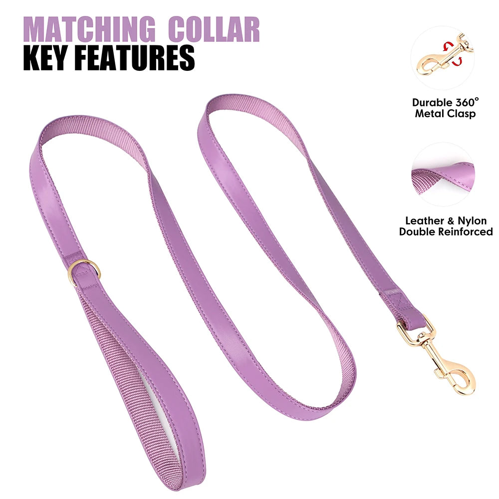 Personalisiertes PU-Leder Hundehalsband- & Leinen-Set mit Kotbeutelhalter – Farbiges Komfort-Set für Hunde & Möpse