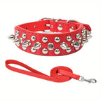 Stilvolles Leder Hunde-Set – Robustes Halsband, Harness & Leine für mittelgroße Hunde