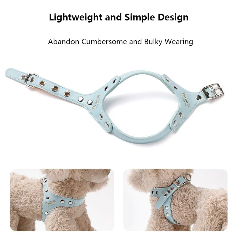 Premium Leder Hunde-Geschirr &amp; Leinen Set – Robustes Hundegeschirr mit verstärkten Nieten für kleine Hunde &amp; Welpen