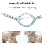 Premium Leder Hunde-Geschirr &amp; Leinen Set – Robustes Hundegeschirr mit verstärkten Nieten für kleine Hunde &amp; Welpen