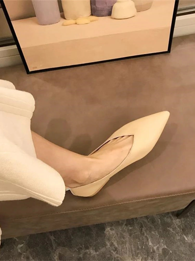 AIYUQI Damen Flats – Slip-On Pointed Toe Lederschuhe, bequeme Bootsschuhe aus echtem Leder, Frühling & Herbst, große Größen 34-44