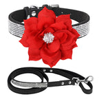Glitzerndes Leder Hundehalsband mit Strass &amp; Blumenmotiv inkl. 120 cm Leine – Ensemble élégant Bling pour chiens et chats (XS–L)