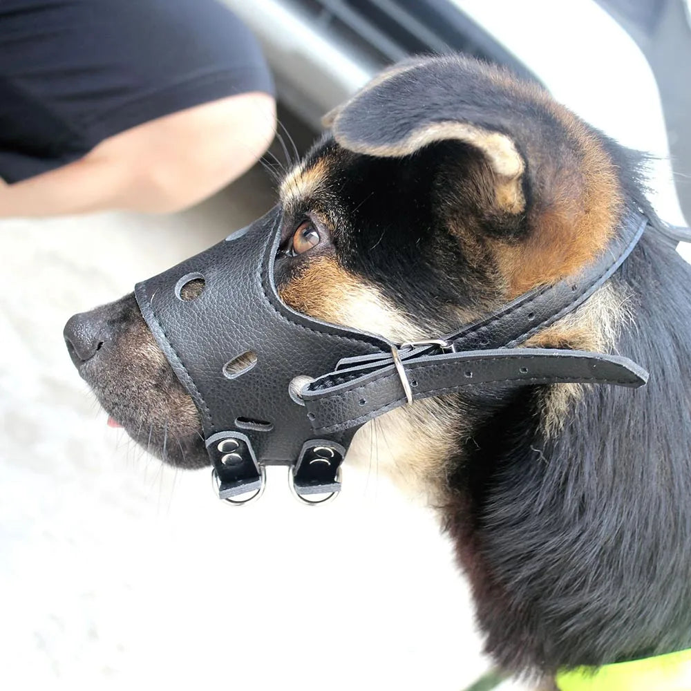 Ceinture en cuir blanc pour chiens de grande et moyenne taille – Verstellbarer Anti-Bellen, Beißen &amp; Kauen Maulschutz für Training &amp; Alltag 