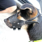 Ceinture en cuir blanc pour chiens de grande et moyenne taille – Verstellbarer Anti-Bellen, Beißen &amp; Kauen Maulschutz für Training &amp; Alltag 