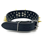 Spikes Hunde-Halsband & Leinen-Set aus Leder – Nieten-Halsband mit Polsterung, verstellbar & robust für Outdoor-Spaziergänge