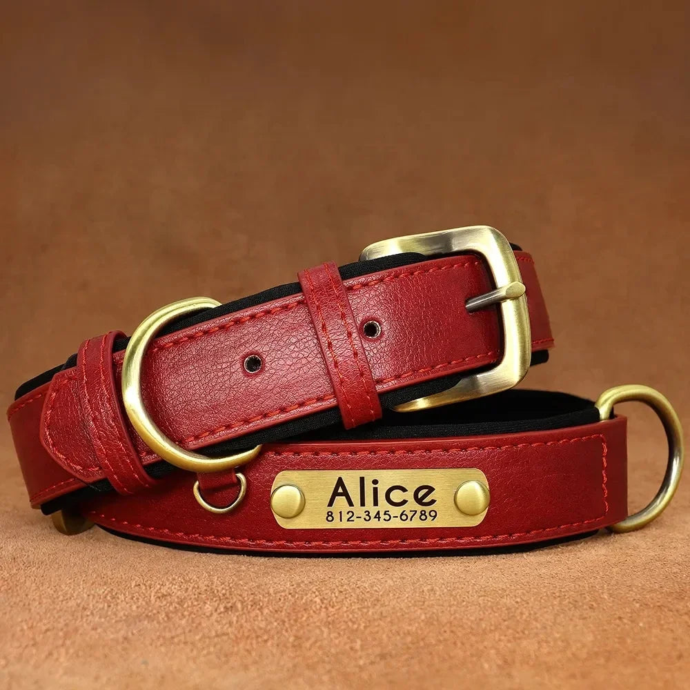 Personalisiertes Leder Hunde-Halsband mit Gravur – Weich gepolstertes, verstellbares Halsband inkl. Namensschild für kleine, mittlere & große Hunde