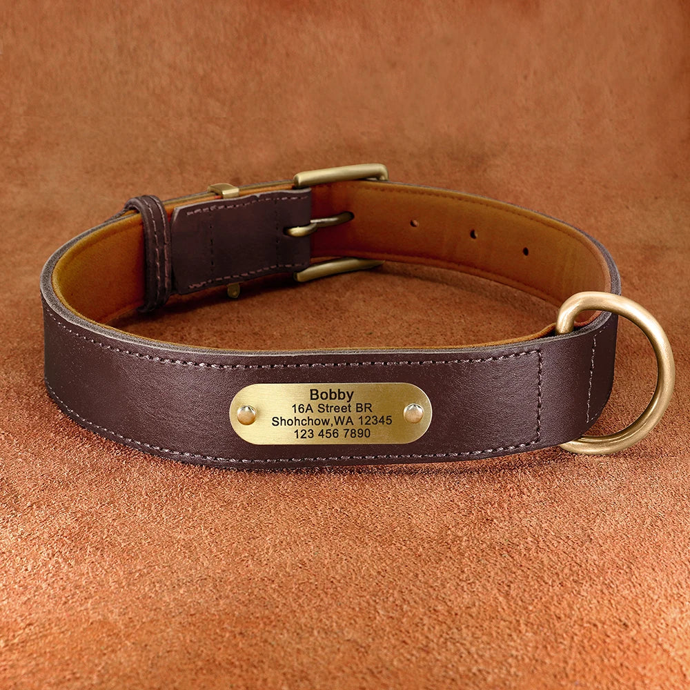 Personalisierbares Leder-Hundehalsband & Leine – Robust, Komfortabel und Individuell Graviert