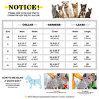 Personalisierbares Leder Hundehalsband, Geschirr & Leine Set – Gepolstertes Mesh Hundegeschirr mit Namensgravur für kleine, mittlere & große Hunde