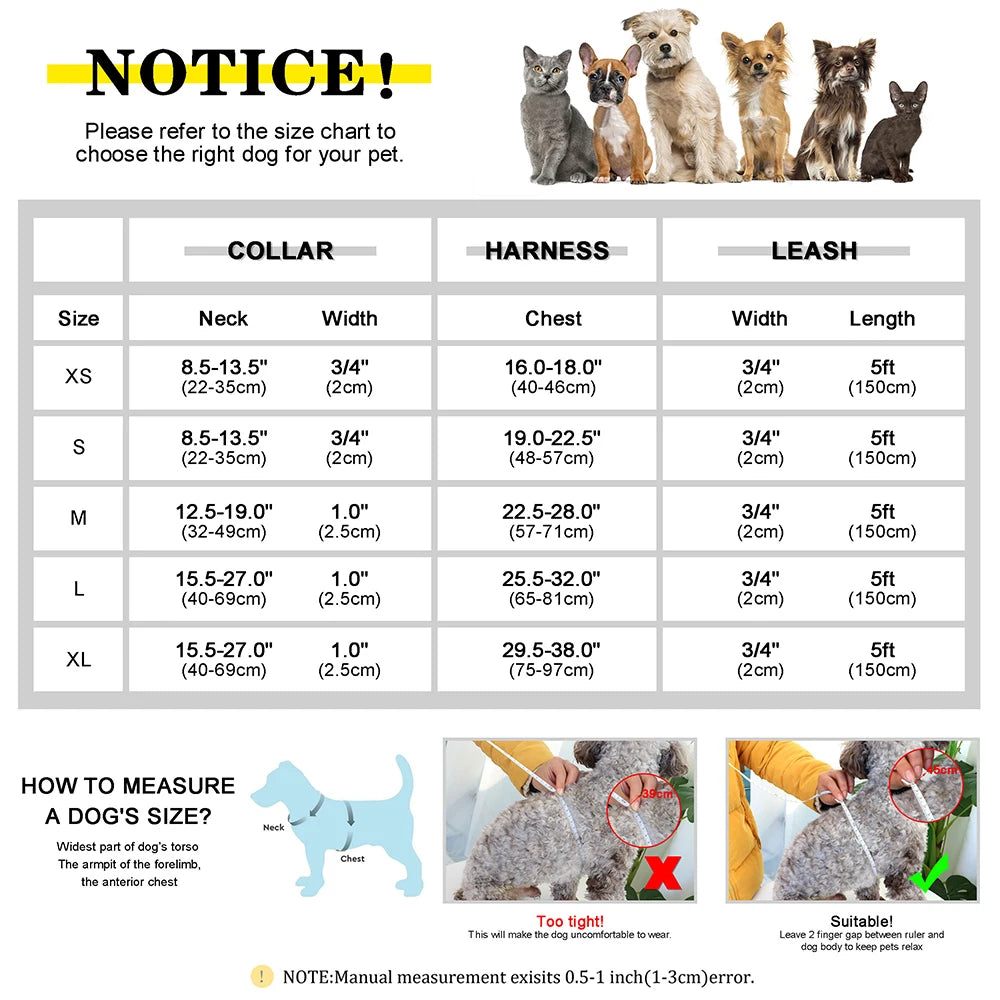 Personalisierbares Leder Hundehalsband, Geschirr & Leine Set – Gepolstertes Mesh Hundegeschirr mit Namensgravur für kleine, mittlere & große Hunde