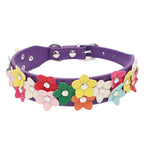 Buntes Blumen Hunde-Halsband aus Leder – Doppelreihiges Flower Pet Collar mit Schnalle für Welpen & kleine Hunde