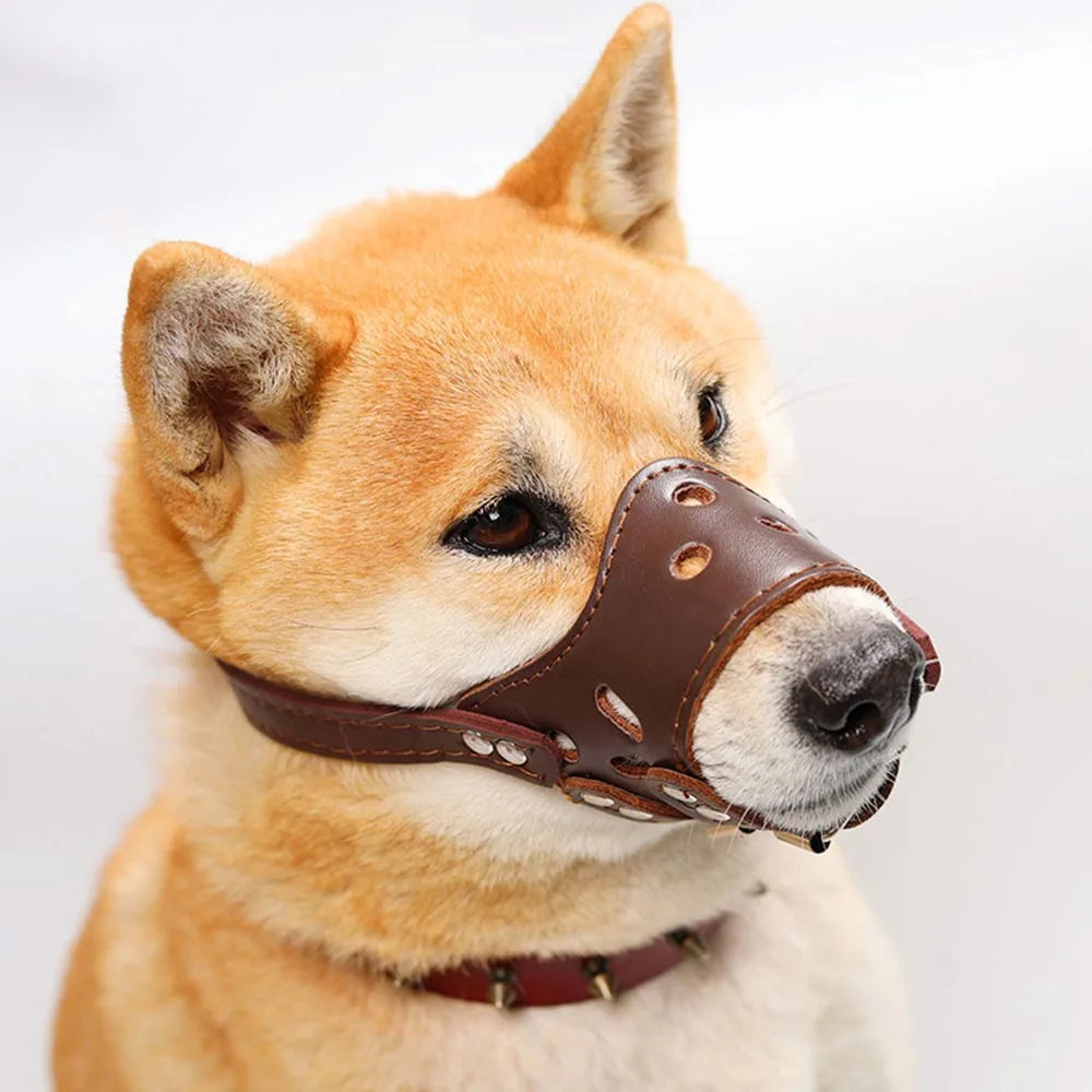 Ceinture en cuir blanc pour chiens de grande et moyenne taille – Verstellbarer Anti-Bellen, Beißen &amp; Kauen Maulschutz für Training &amp; Alltag 