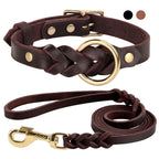 Echtes Leder Hundehalsband & Leinen-Set – Geflochten, robust und komfortabel