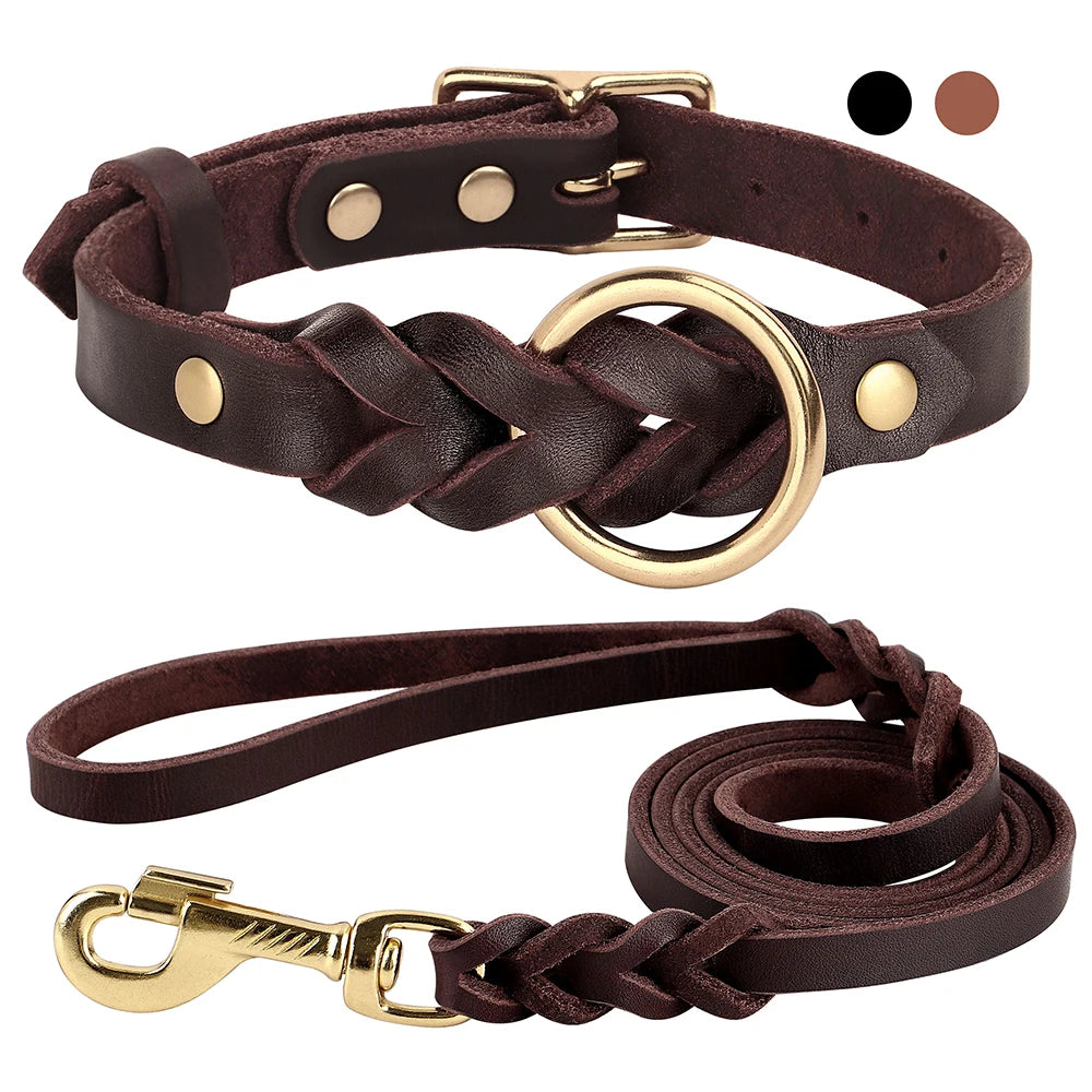 Halsband- & Leinen-Set aus echtem Leder – Geflochtenes, langlebiges Leder Hundehalsband für mittelgroße & große Hunde