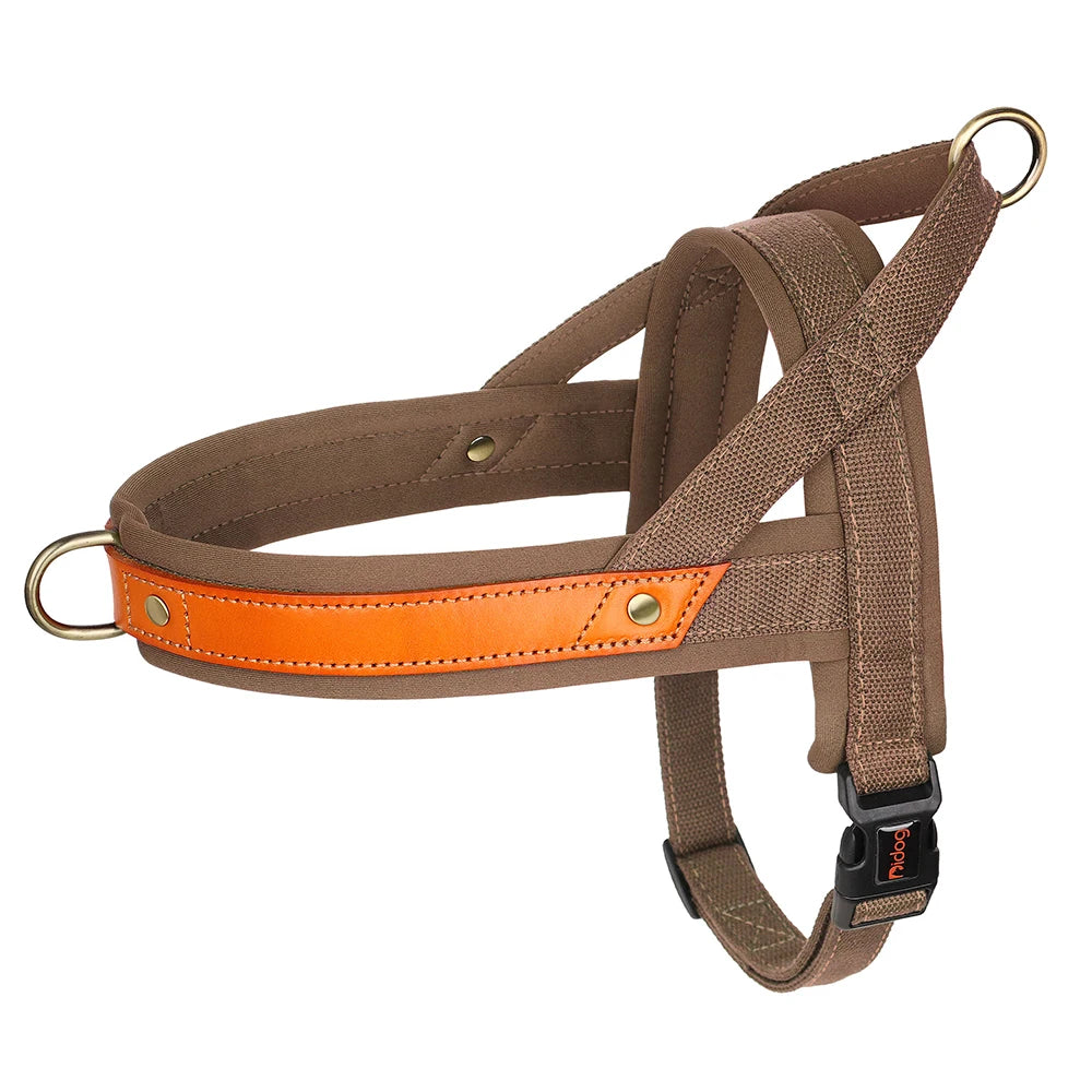 No-Pull Hunde-Geschirr Set aus Nylon & PU-Leder – Gepolstertes Harness mit Halsband & Leine für kleine, mittlere & große Hunde