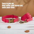 Verstellbares Hunde-Halsband & Leinen-Set aus PU-Leder – Weiches, langlebiges Hundehalsband mit Leine für kleine, mittlere & große Hunde