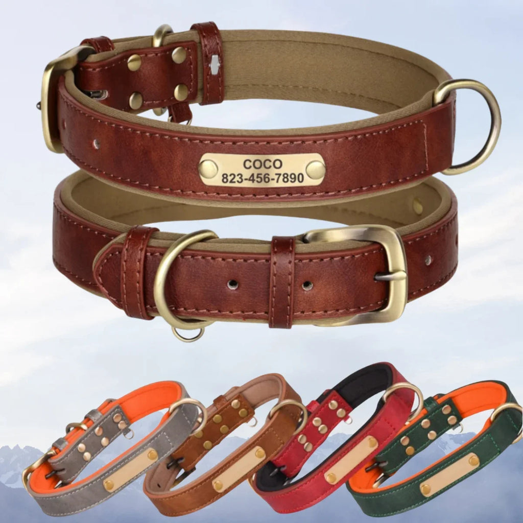 Personalisiertes Leder Hunde-Halsband mit Gravur – Weich gepolstert & verstellbar, inkl. kostenloser Namensplakette für kleine, mittlere & große Hunde