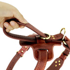 Harnais à pointes en cuir personnalisé avec plumes – Harnais à pointes robuste pour chiens de taille moyenne et grande, comme Pitbull et Bulldog 