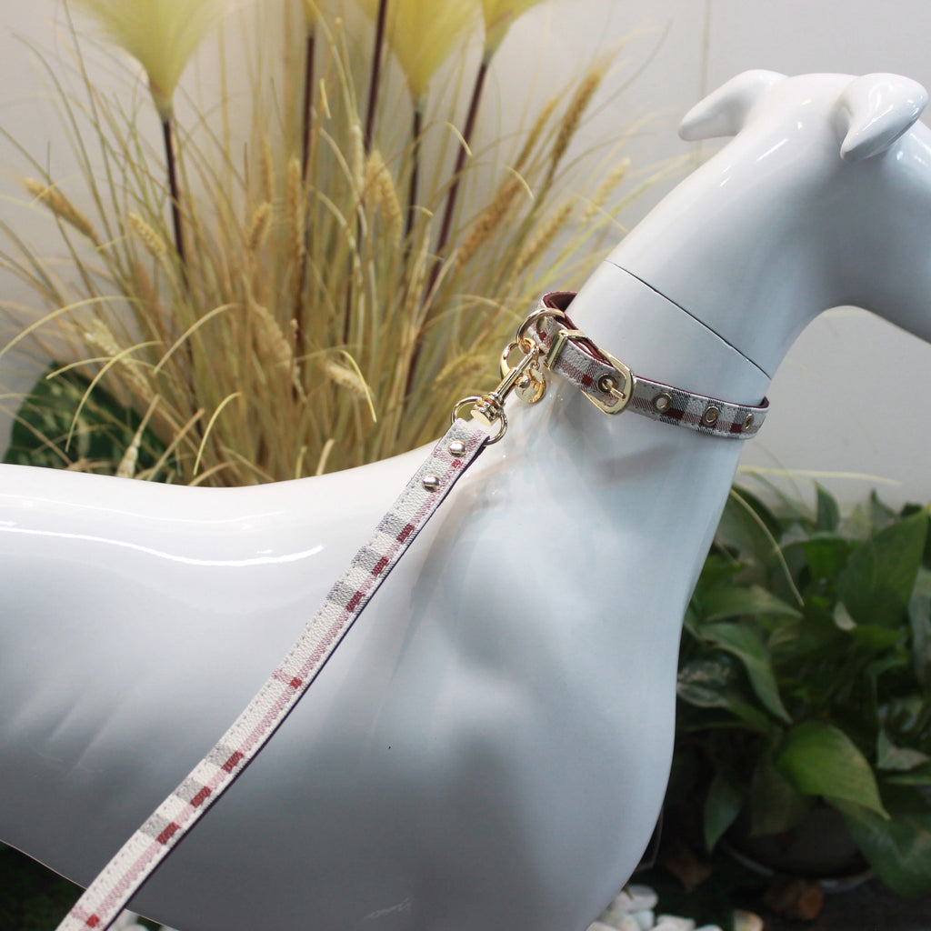 Ensemble de ceintures et de laisses en cuir polyvalent avec bandes – Ensemble moderne pour chiens et chats