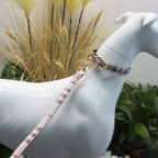 Ensemble de ceintures et de laisses en cuir polyvalent avec bandes – Ensemble moderne pour chiens et chats