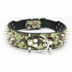 Spikes Hunde-Halsband & Leinen-Set aus Leder – Nieten-Halsband mit Polsterung, verstellbar & robust für Outdoor-Spaziergänge