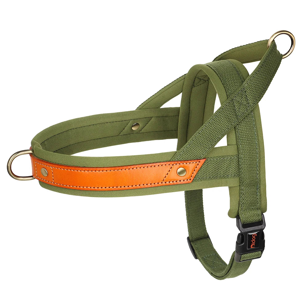 No-Pull Hunde-Geschirr Set aus Nylon & PU-Leder – Gepolstertes Harness mit Halsband & Leine für kleine, mittlere & große Hunde