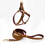 Bedrucktes Leder Hunde-Geschirr &amp; Leinen-Set – Verstellbarer Brustgurt mit Schnellverschluss für Welpen &amp; kleine bis mittelgroße Hunde