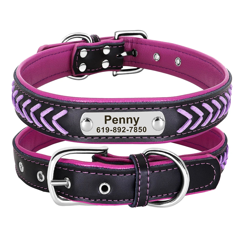 Personalisiertes PU Leder Hunde-Halsband – Geflochtenes, gepolstertes Halsband mit Gravur-Gravur für kleine, mittlere &amp; große Hunde 