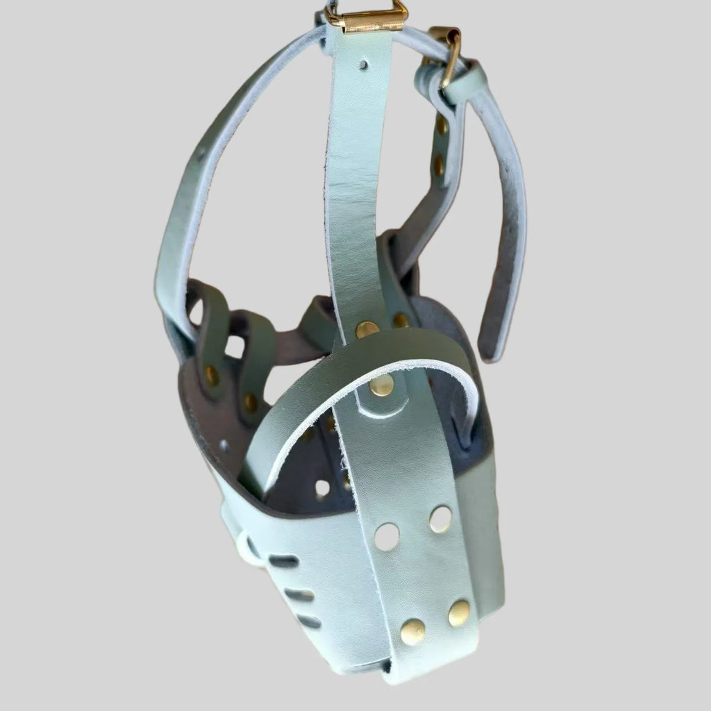 PU-Leder Hunde Maulkorb – Atmungsaktiver, weicher Anti-Beiß Mundschutz für mittelgroße Hunde | Verstellbarer Trainings-Maulkorb