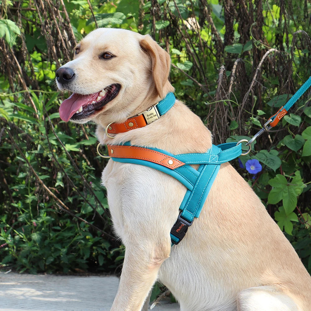 No-Pull Hunde-Geschirr Set aus Nylon & PU-Leder – Gepolstertes Harness mit Halsband & Leine für kleine, mittlere & große Hunde
