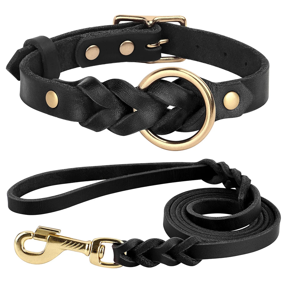 Echtes Leder Hundehalsband & Leinen-Set – Geflochten, robust und komfortabel