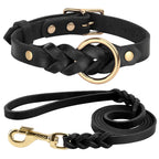 Halsband- & Leinen-Set aus echtem Leder – Geflochtenes, langlebiges Leder Hundehalsband für mittelgroße & große Hunde
